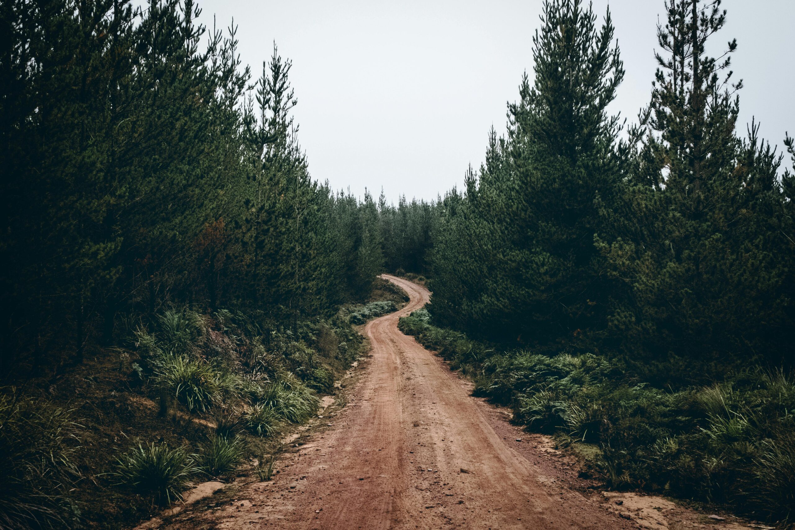 The story of the road to Emmaus, Luke 24:13-35